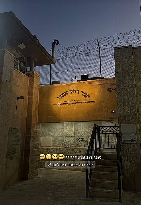 אלין כהן