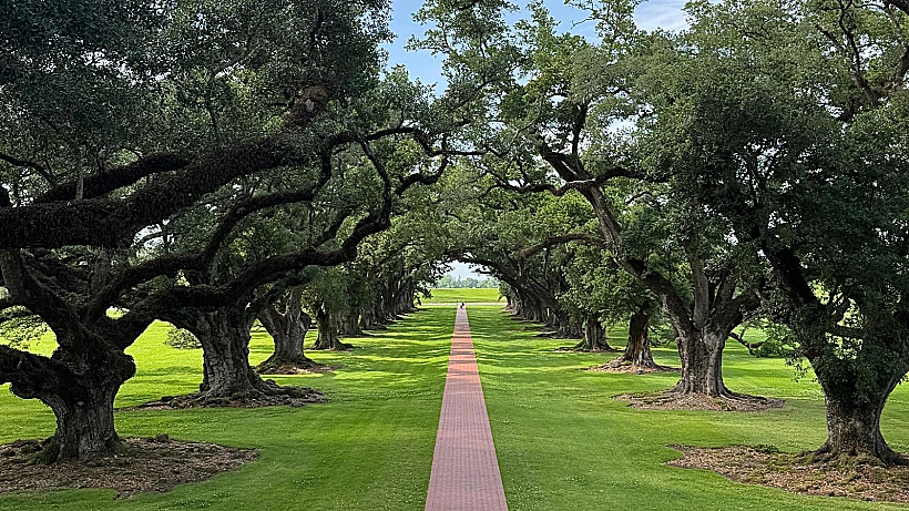 Oak Alley1