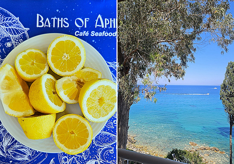 מסעדת Baths of Aphrodite בלאצ'י פאפוס