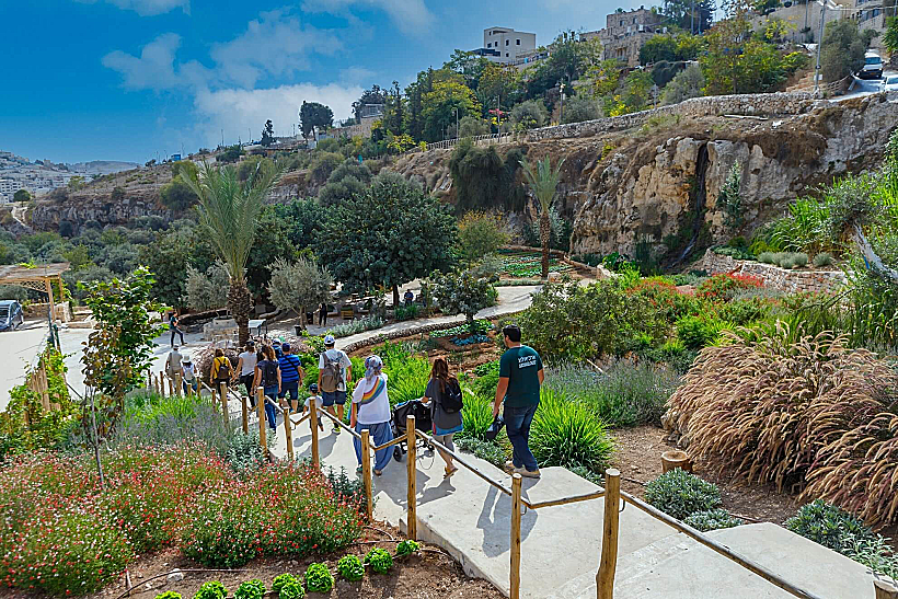 החווה בגיא עיר דוד ירושלים