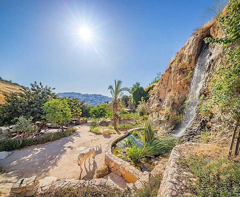 החווה בגיא - עיר דוד