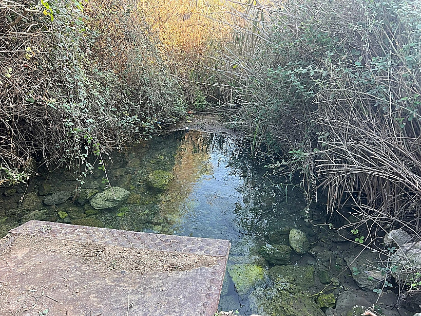 עין תאו
