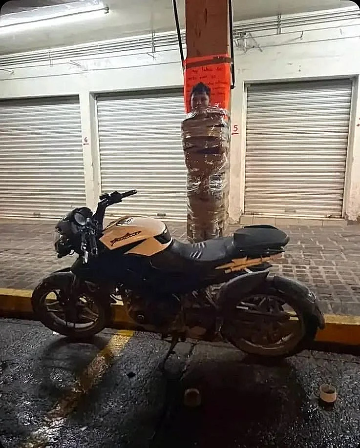 נמצאו קשורים לעמודים