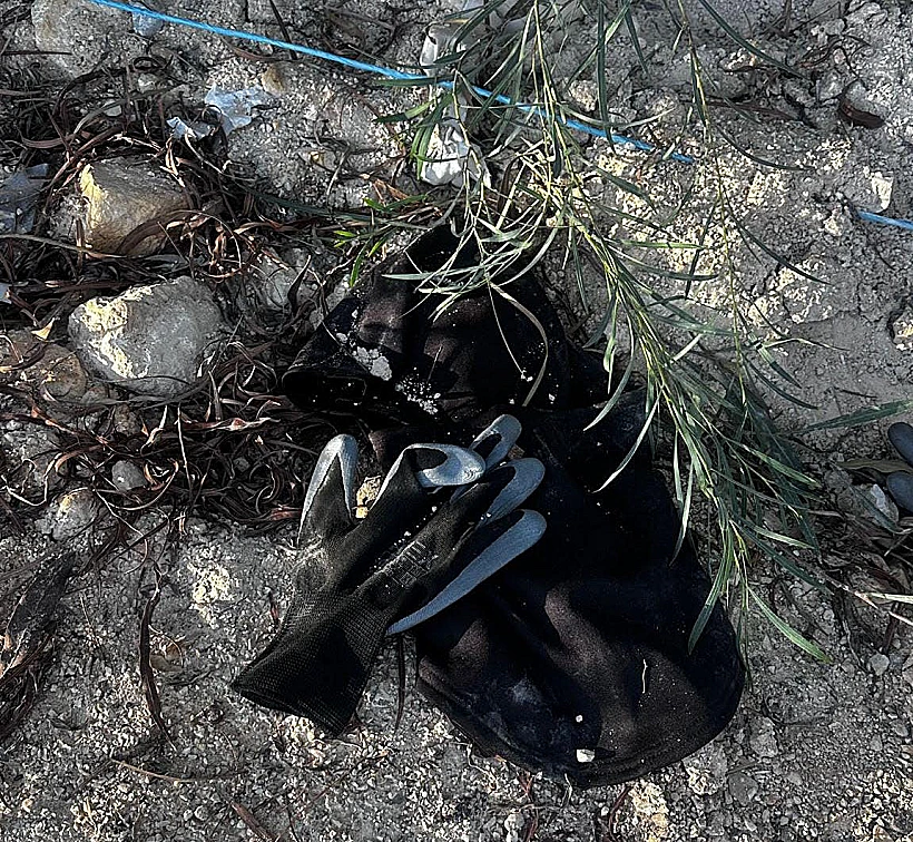 ממצאי החקירה מזירת הרצח