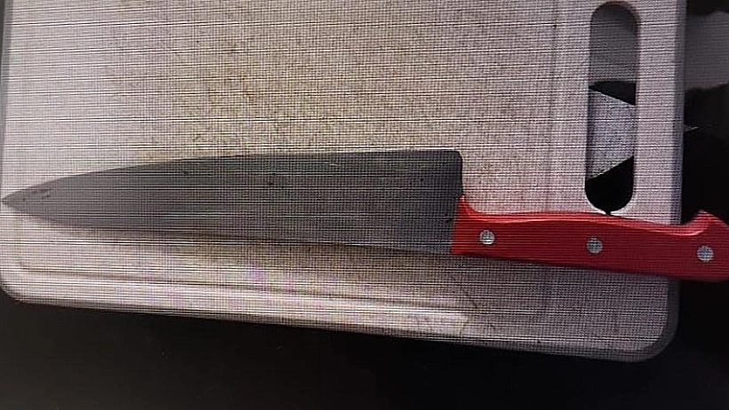 הסכין ששימשה את החשוד בדקירת בת זוגו
