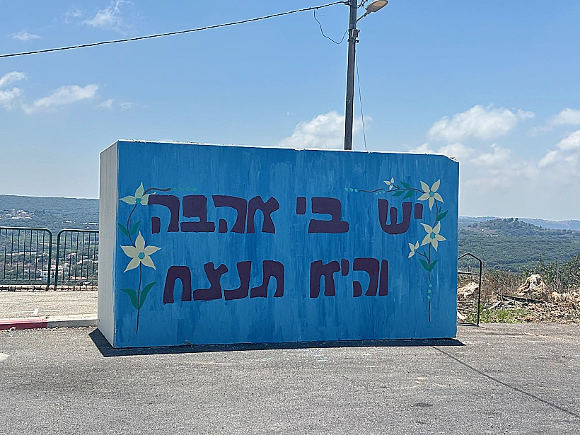 אופטימיות בזרעית