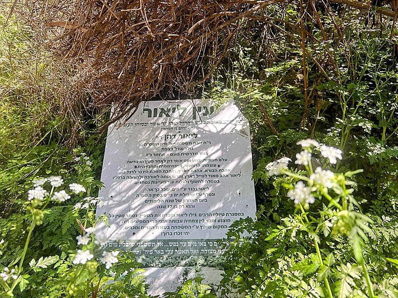עין ליאור