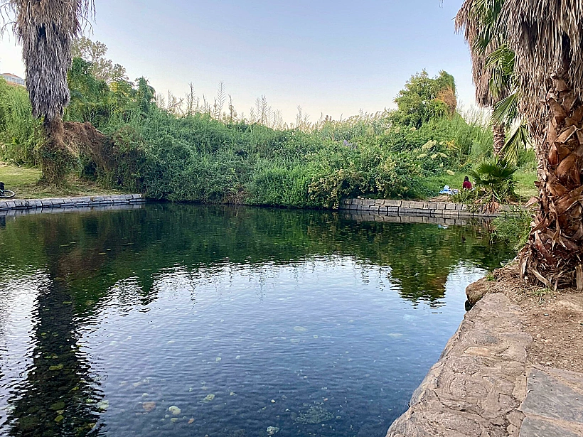 עין נון