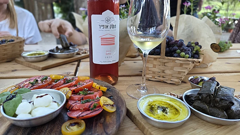 משק אופיר