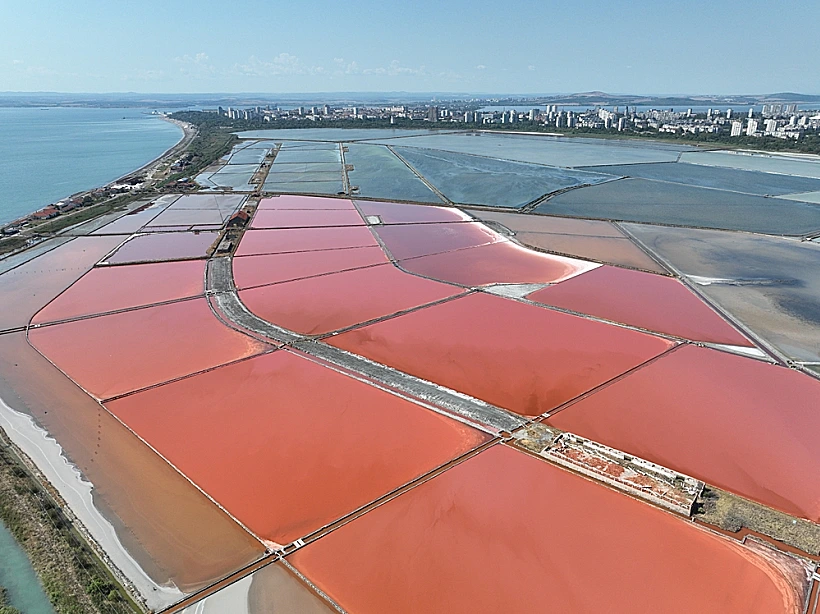 Sea,salt,plants,near,burgas,,bulgaria אגם המלח אטנאסובסקו