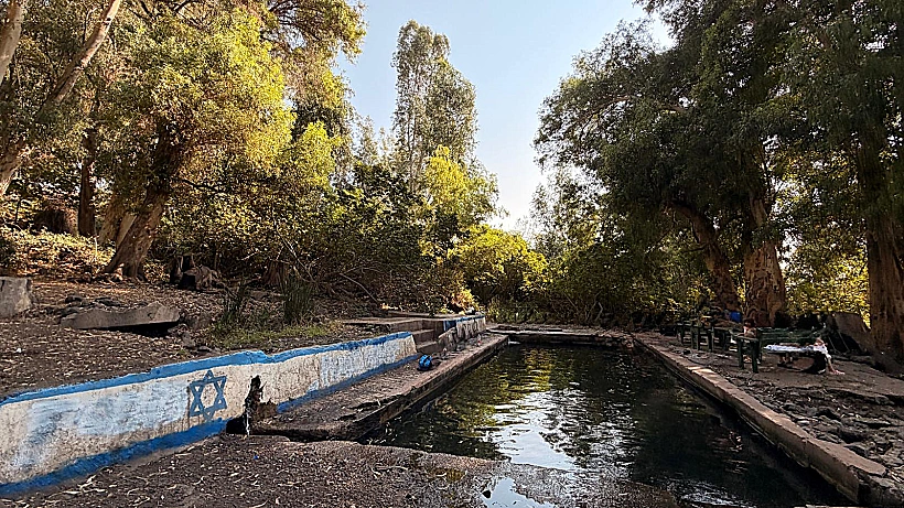 עין עלמין
