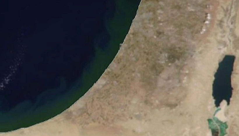 פריסת האצות בים התיכון