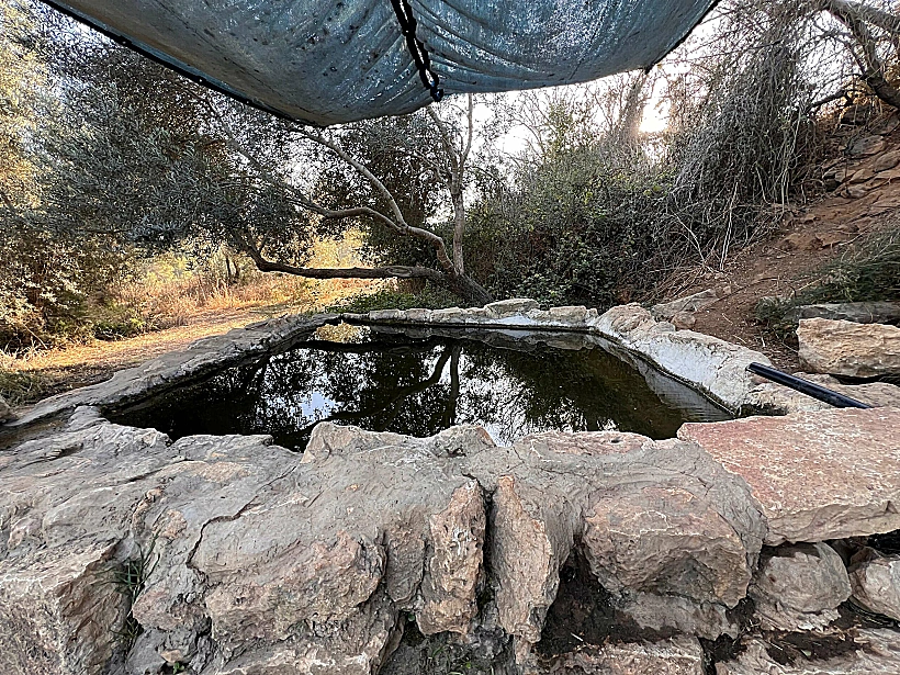 עין צובה