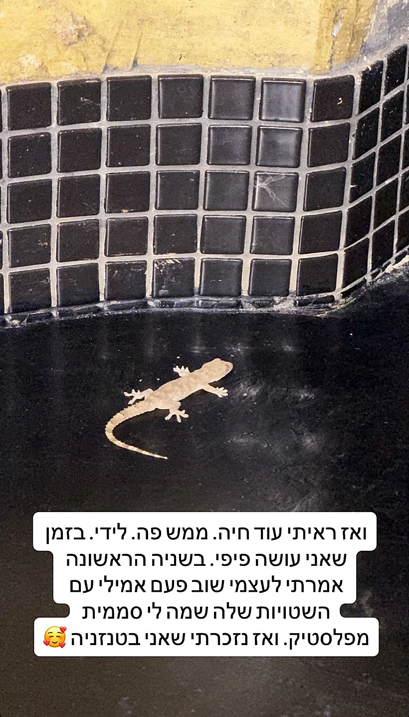 דניאל עמית