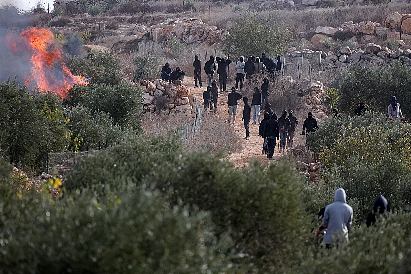 אלימות מתנחלים במטע זיתים באבו פלאח, באזור רמאללה