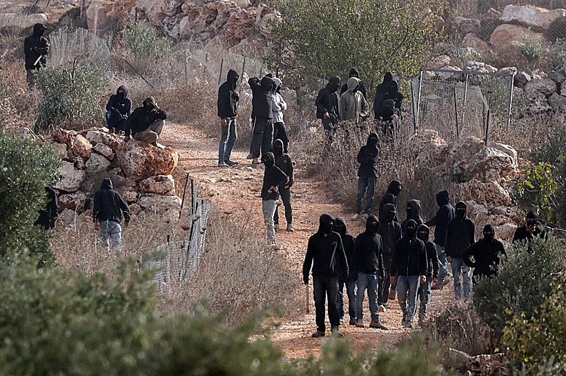אלימות מתנחלים במטע זיתים באבו פלאח, באזור רמאללה