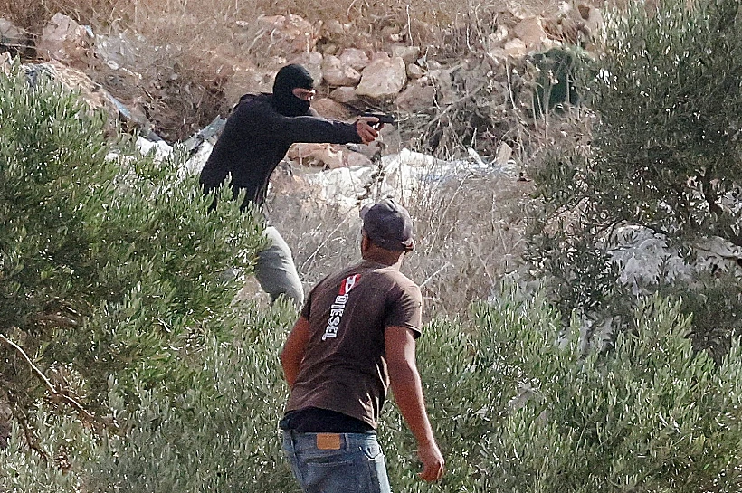 אלימות מתנחלים במטע זיתים באבו פלאח, באזור רמאללה