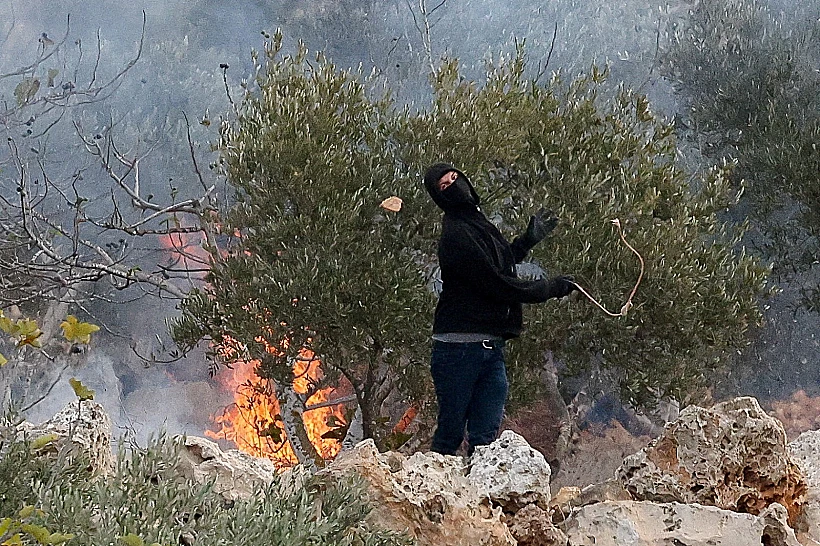 אלימות מתנחלים במטע זיתים באבו פלאח, באזור רמאללה
