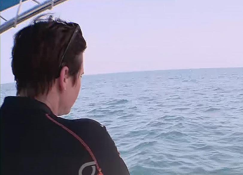 סמדר פלד עומדת לקפוץ לים מלא מדוזות