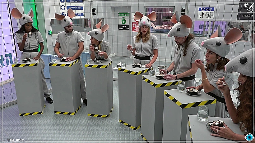 האח הגדול העונה החמה