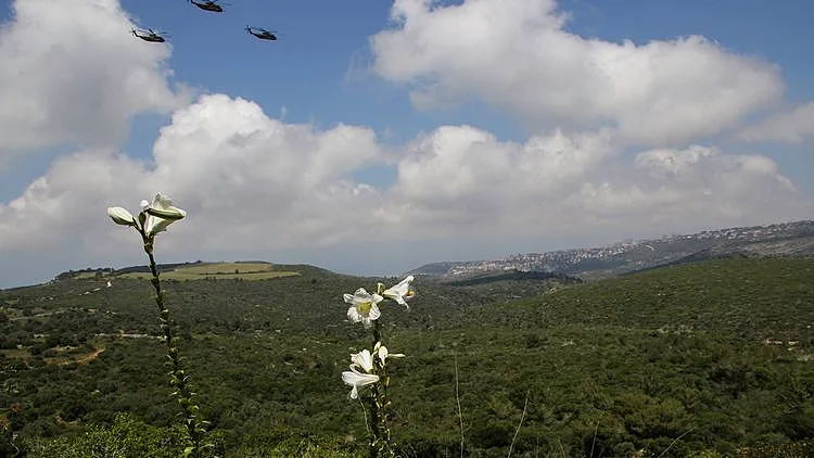 שושן צחור בנחל כלח