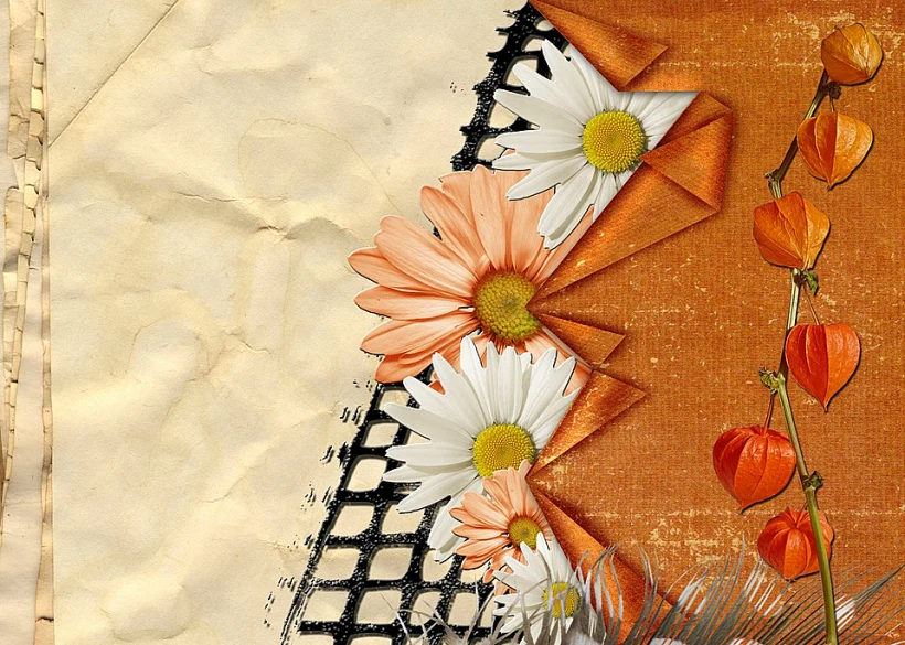 עיצובי טראש