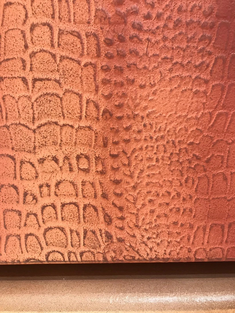 בית האח הגדול VIP