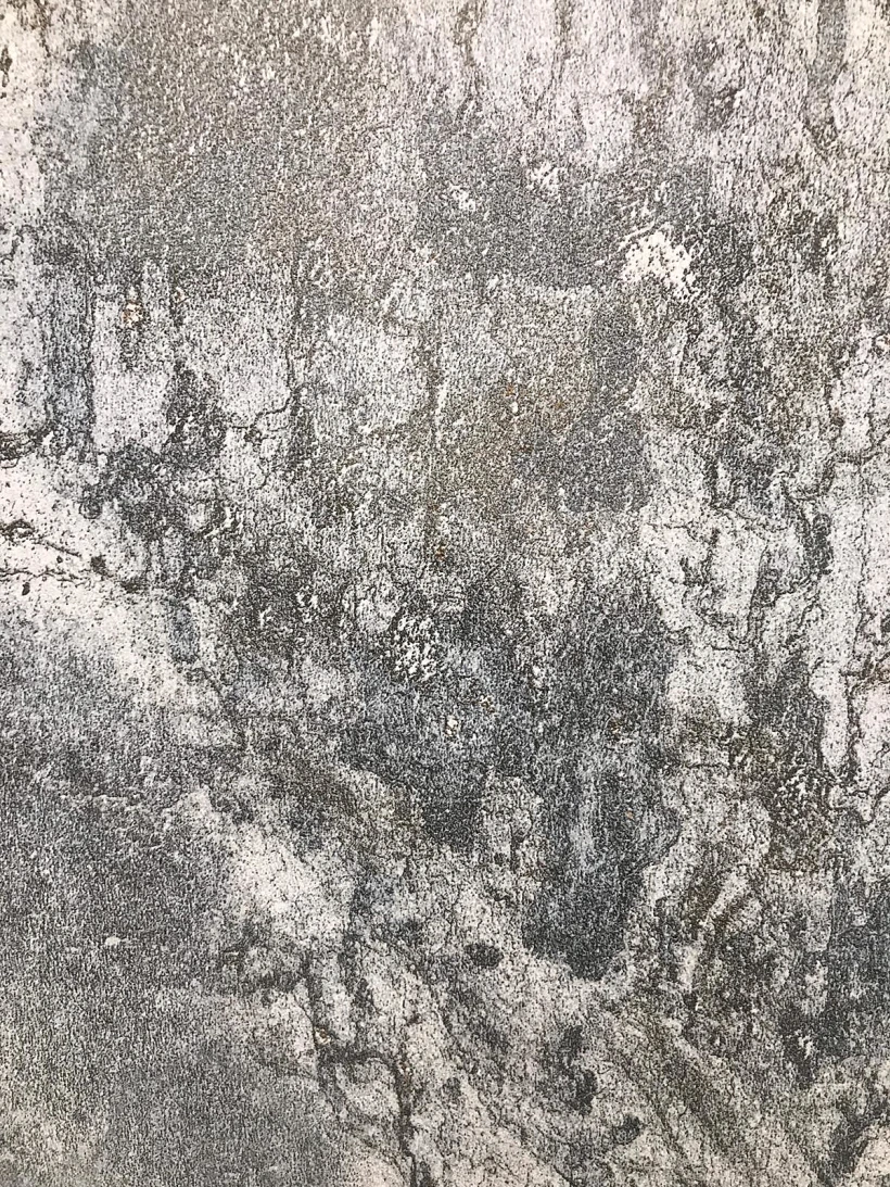 בית האח הגדול VIP