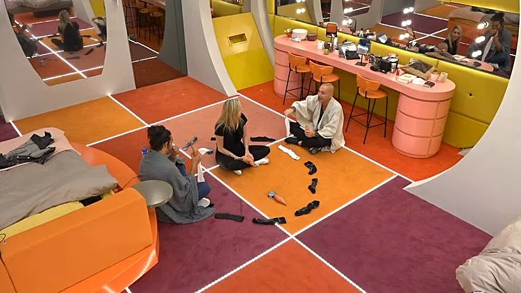 אורלי, עדי ואסף, האח הגדול VIP