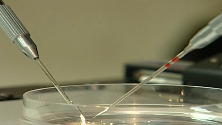 טיפולי הפריה