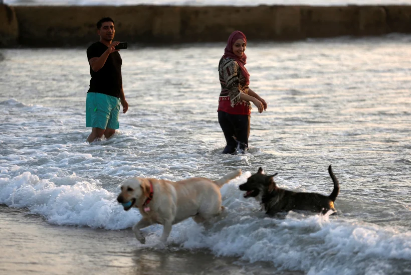 אנשים בחוף הים