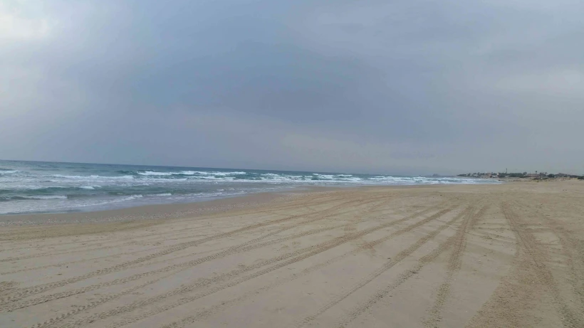 חוף שדות ים