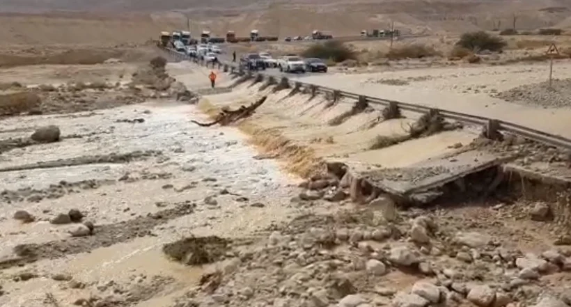 הזירה נחל צפית