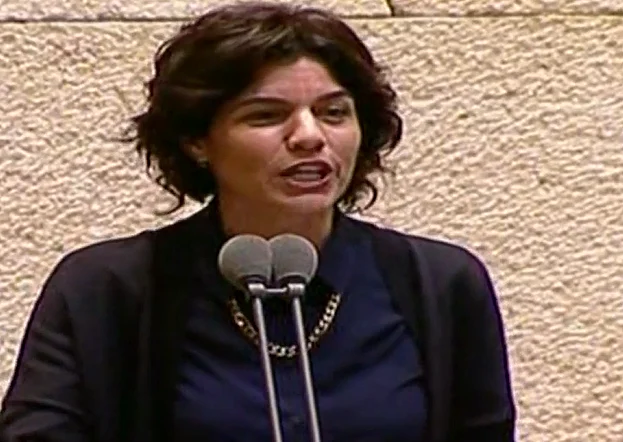 ח''כ תמר זנדברג