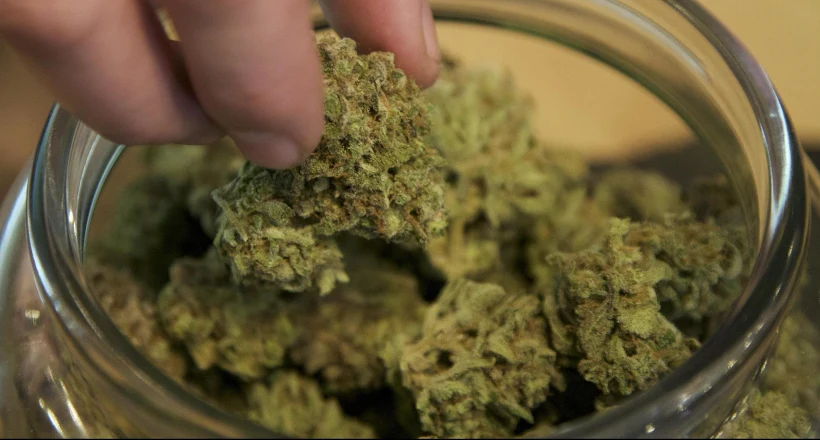 מריחואנה רפואית