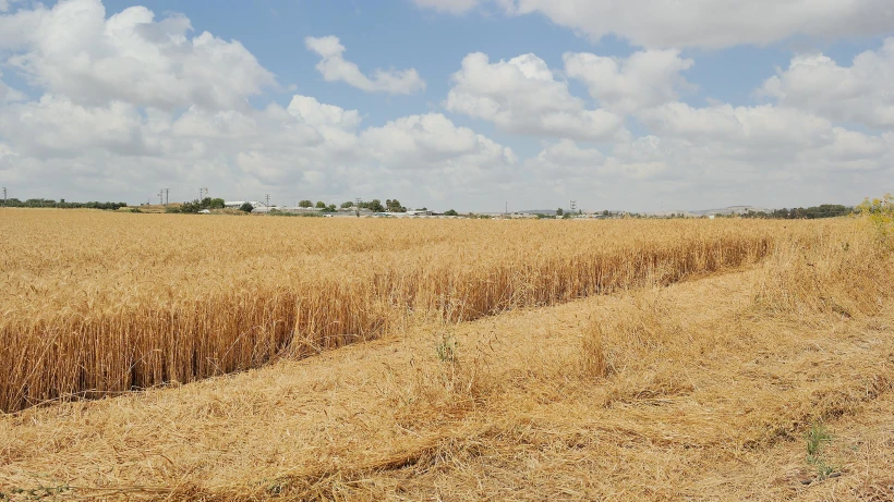 מעונן חלקית (אילוסטרציה)