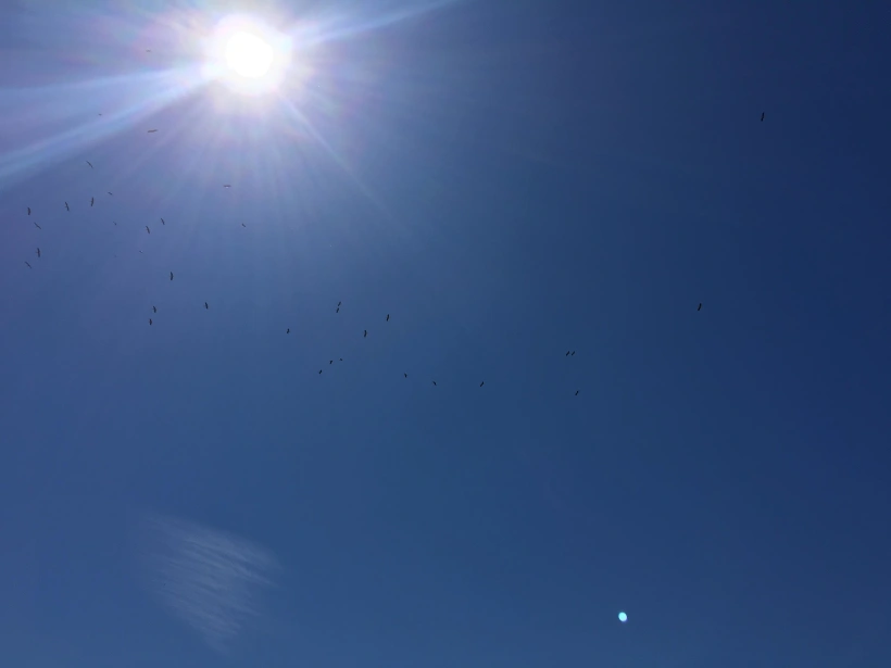 מזג האוויר יהיה נוח