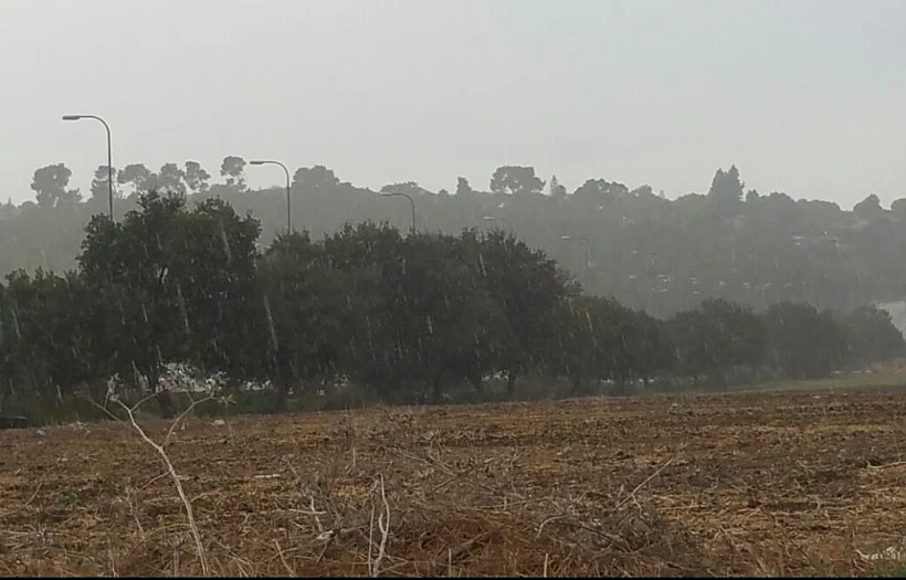 גשם מקומי בצפון הארץ