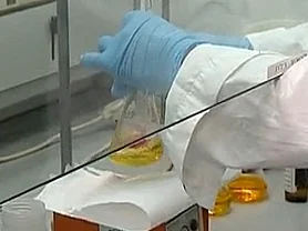 עובדים במעבדה (אילוסטרציה)