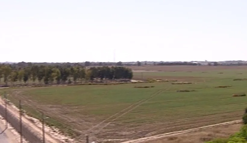 שדות קיבוץ כיסופים