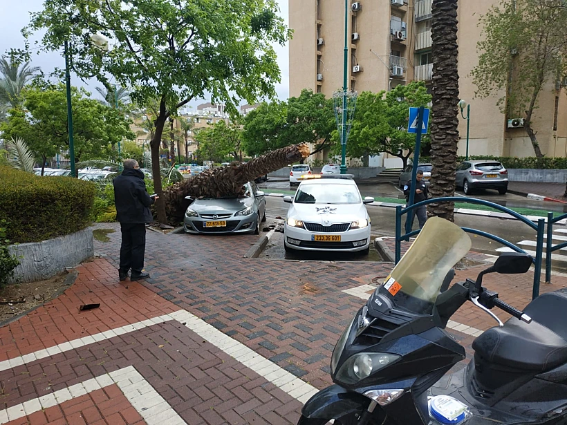 בשל הרוחות עץ קרס על רכב בק. ים, אין נפגעים