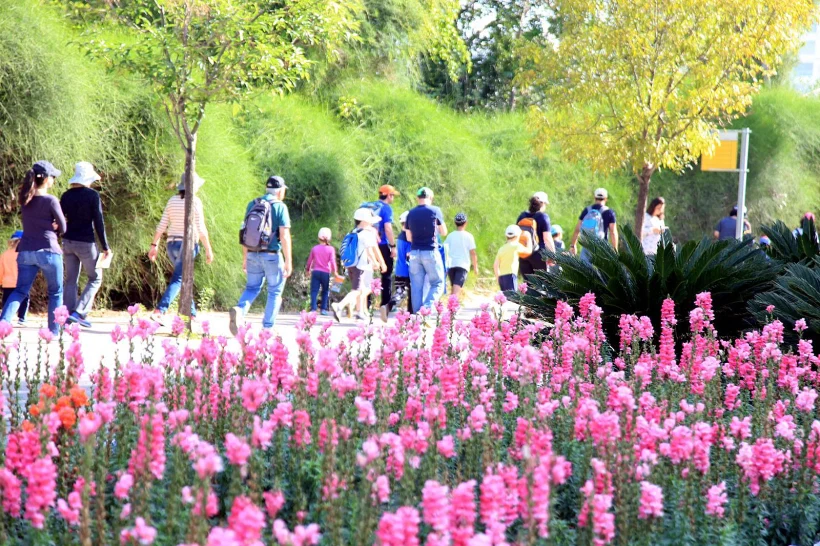 צעדת האביב ברחובות