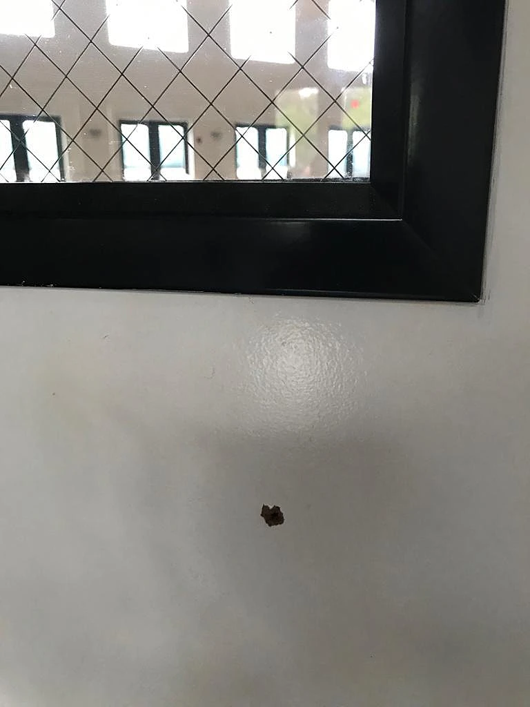 חורי קליעים בקירות בבית הכנסת