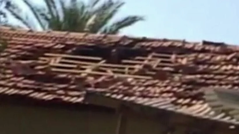 הפגיעה לפני ארבע שנים בבית בשער הנגב