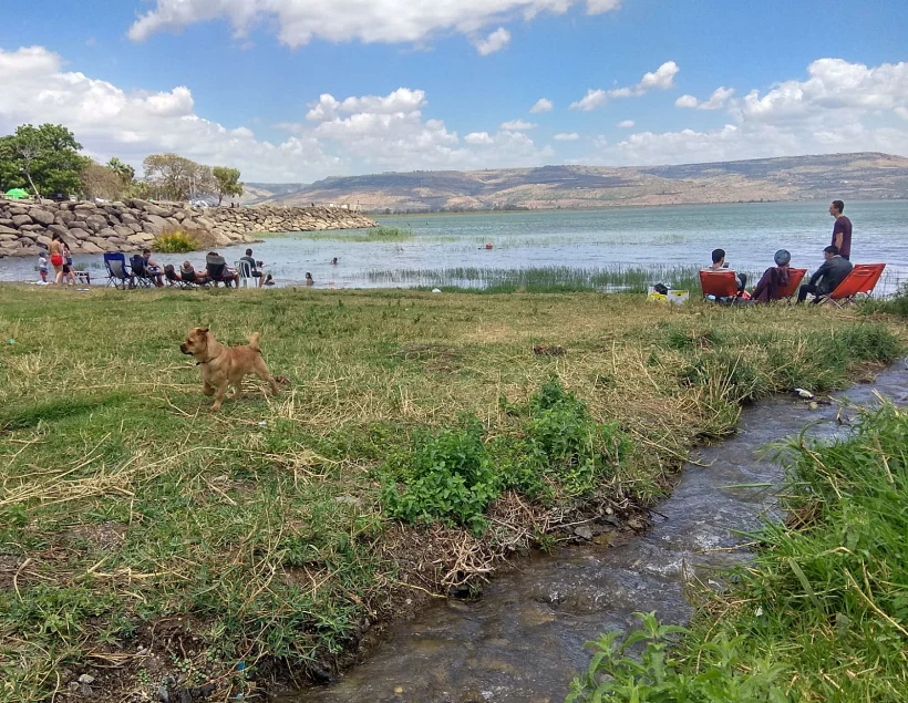 מטיילים בכינרת ביום העצמאות