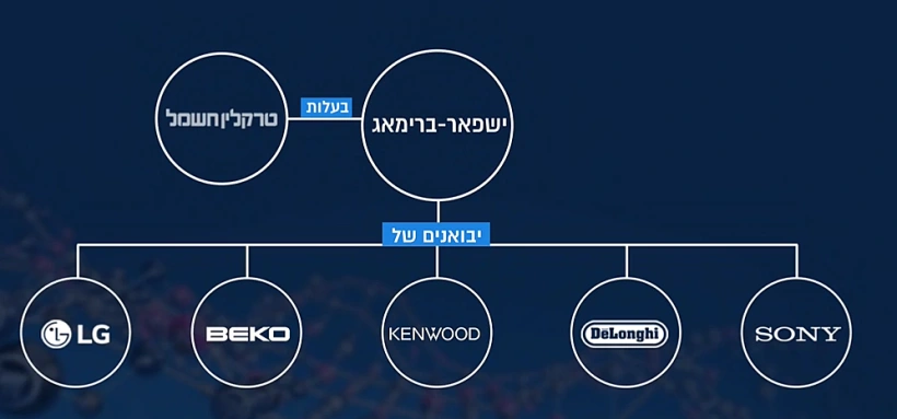 מפת האינטרסים בשוק מוצרי החשמל