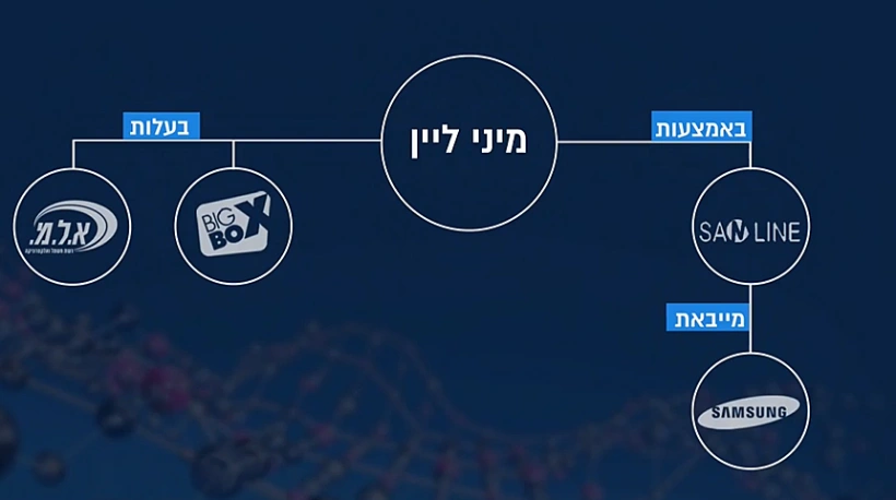 מפת האינטרסים בשוק מוצרי החשמל