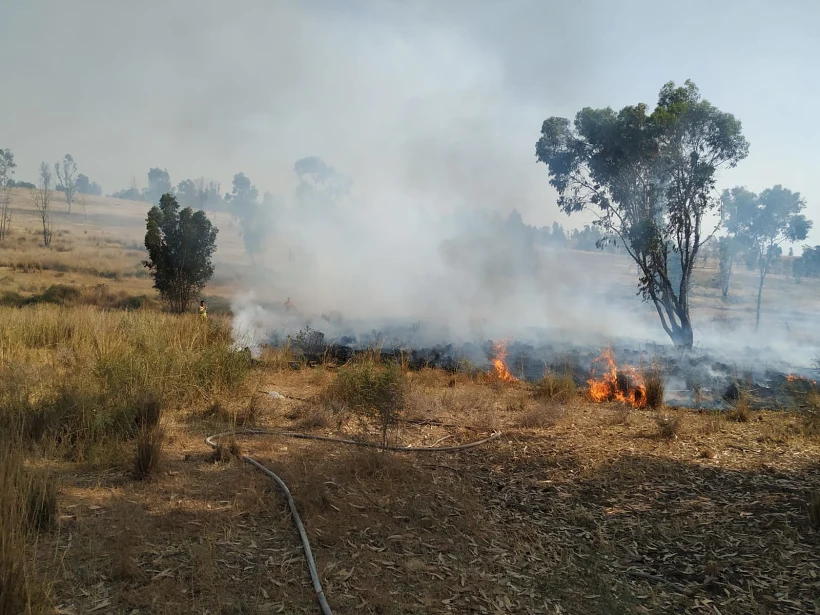 שריפה שפרצה במועצה איזורית אשכול בעקבות בלוני תבערה