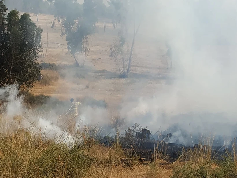 שריפה שפרצה במועצה איזורית אשכול בעקבות בלוני תבערה