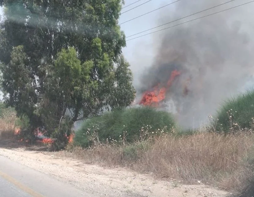 שמורת כרמיה